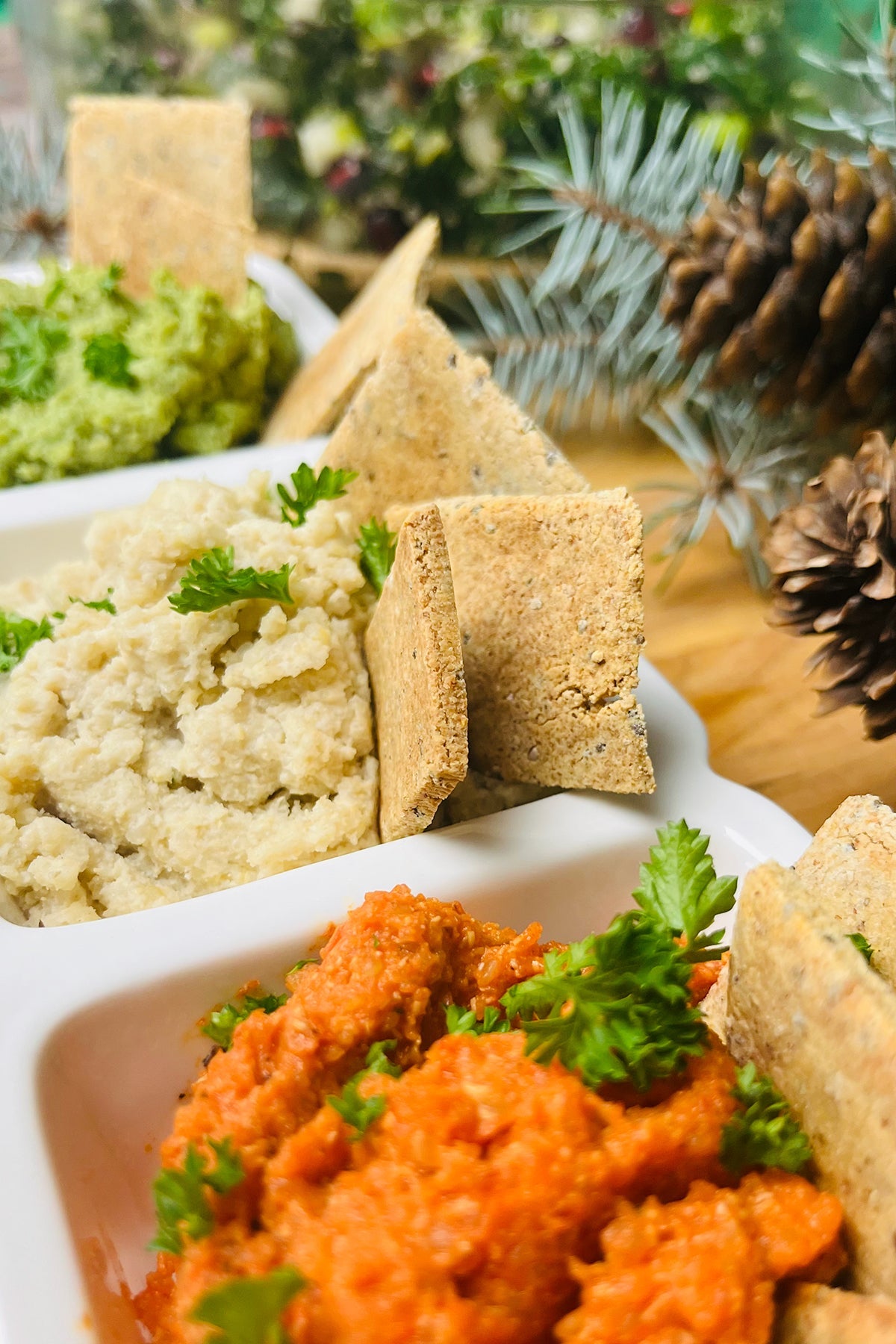 Tri-Colored Quinoa Dips & Crackers
